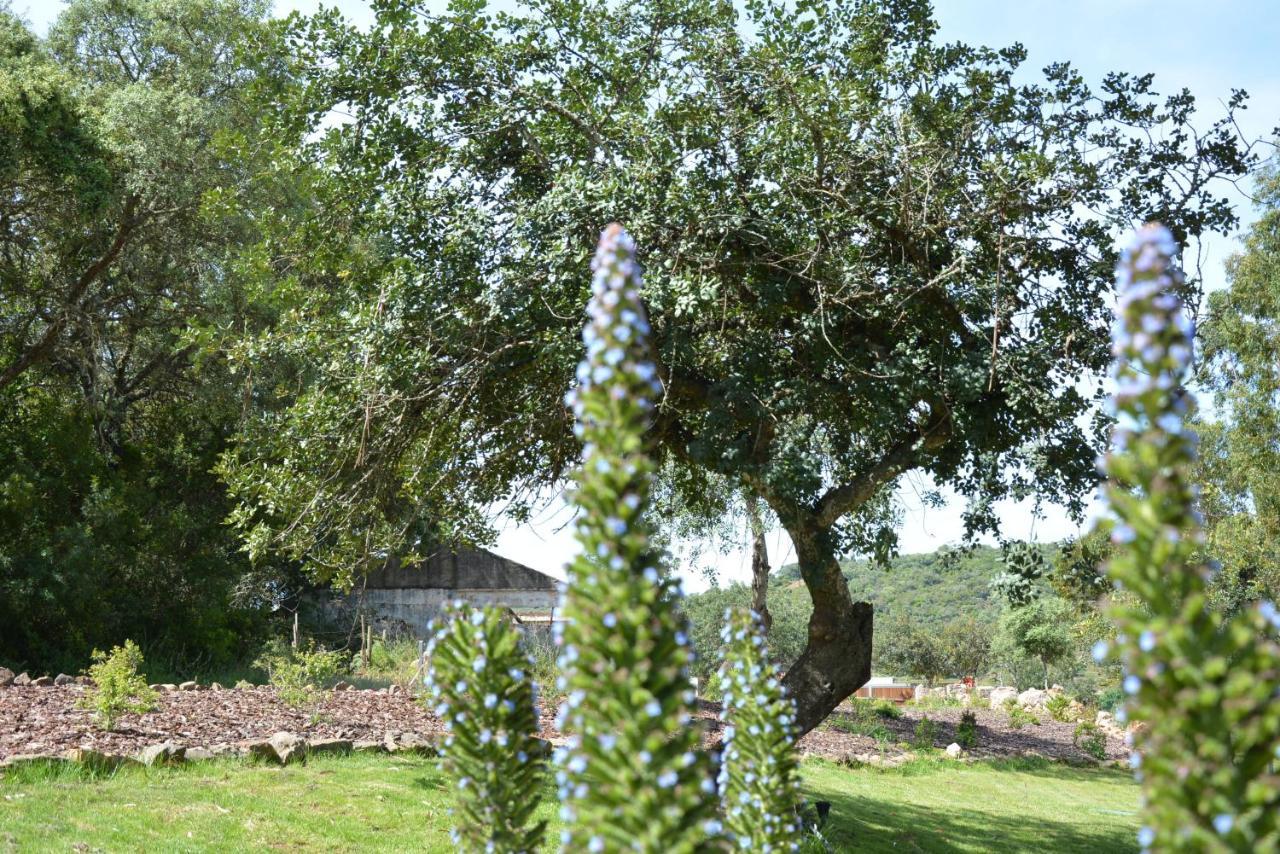 Quinta Do Freixo Villa Benafim Luaran gambar