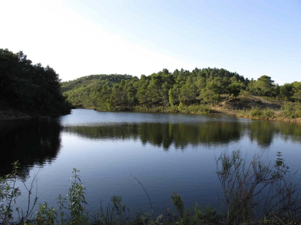 Quinta Do Freixo Villa Benafim Luaran gambar